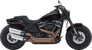 Cruiser Bike